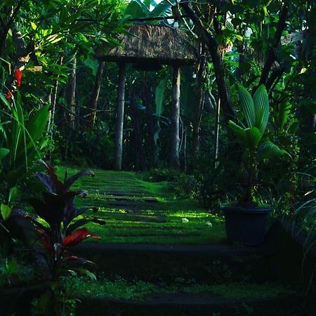 bucu hidden guest house,&meditation center Payangan Buitenkant foto