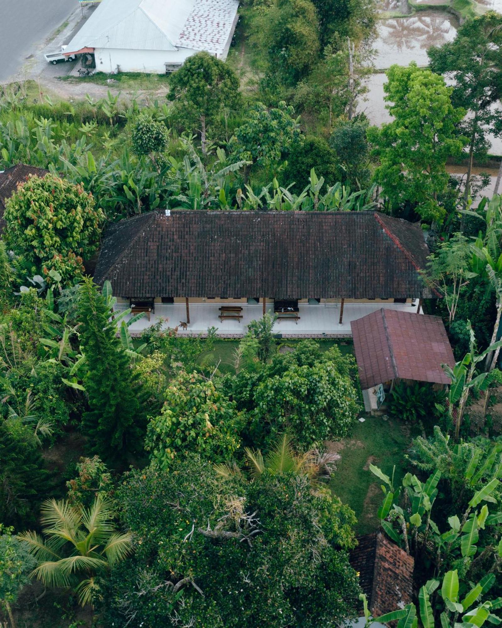 bucu hidden guest house,&meditation center Payangan Buitenkant foto