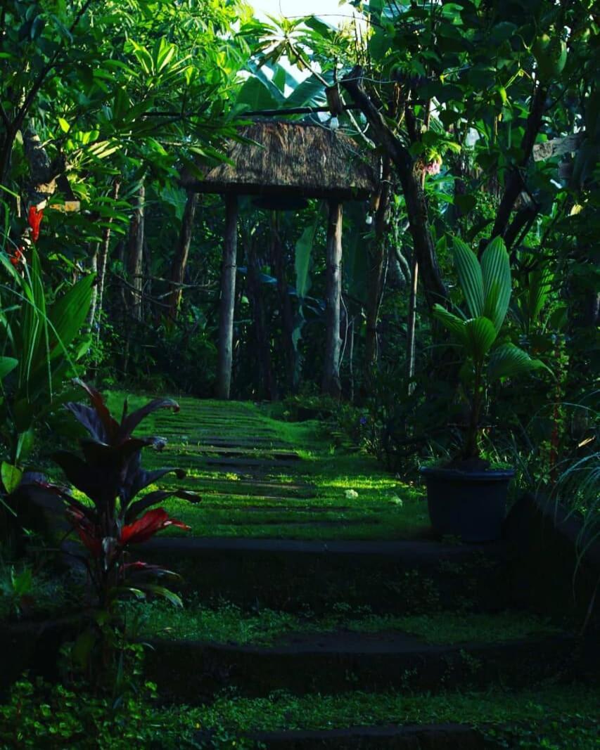 bucu hidden guest house,&meditation center Payangan Buitenkant foto